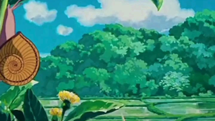 熟悉的声音熟悉的味道夏天你好!